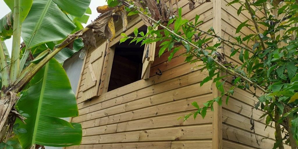 Façade en bois d’une maison avec fenêtre à volets, entourée de végétation