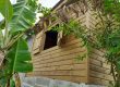 Façade en bois d’une maison avec fenêtre à volets, entourée de végétation