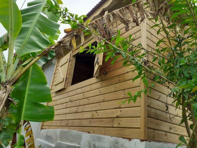 Façade en bois d’une maison avec fenêtre à volets, entourée de végétation