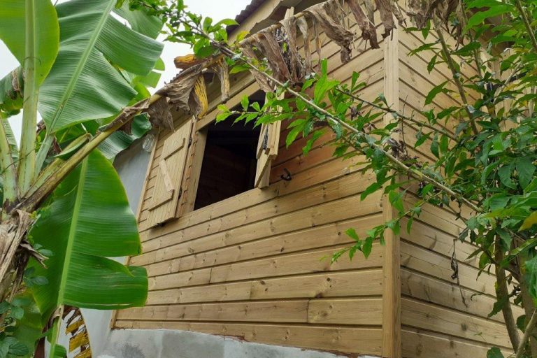 Façade en bois d’une maison avec fenêtre à volets, entourée de végétation